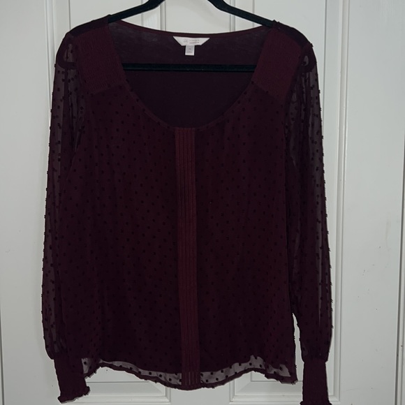 Top - Picture 3 of 3